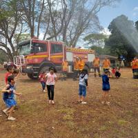 AMN EM BRASÍLIA PROMOVE ATIVIDADES EM ALUSÃO AO DIA DA ÁRVORE