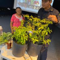 INTEGRAÇÃO EM NATAL PROMOVE OFICINA "MONTE SUA HORTA EM CASA"