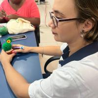 OFICINA DE AMIGURUMI TRANSFORMA LINHA EM ARTE