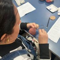 OFICINA DE AMIGURUMI TRANSFORMA LINHA EM ARTE