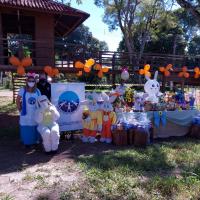 Voluntários preparados para distribuição de chocolates na VNAVI.jpeg 