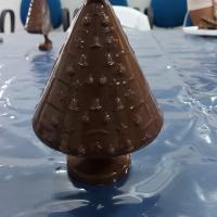 ÁRVORE DE CHOCOLATE É TEMA DE OFICINA DO CAPACITAR EM SÃO PEDRO DA ALDEIA