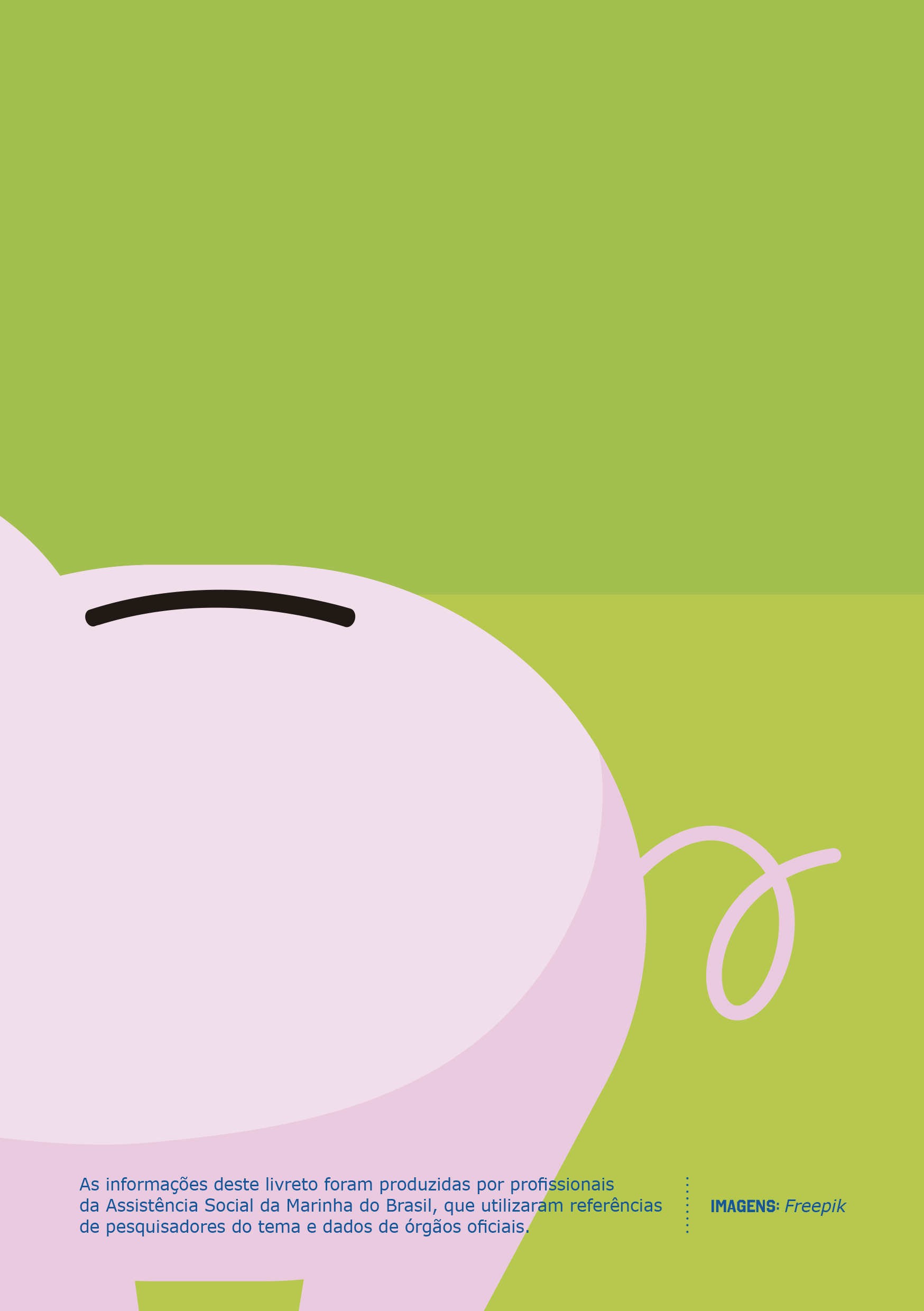 Cartilha AJUSTANDO AS CONTAS_pag2