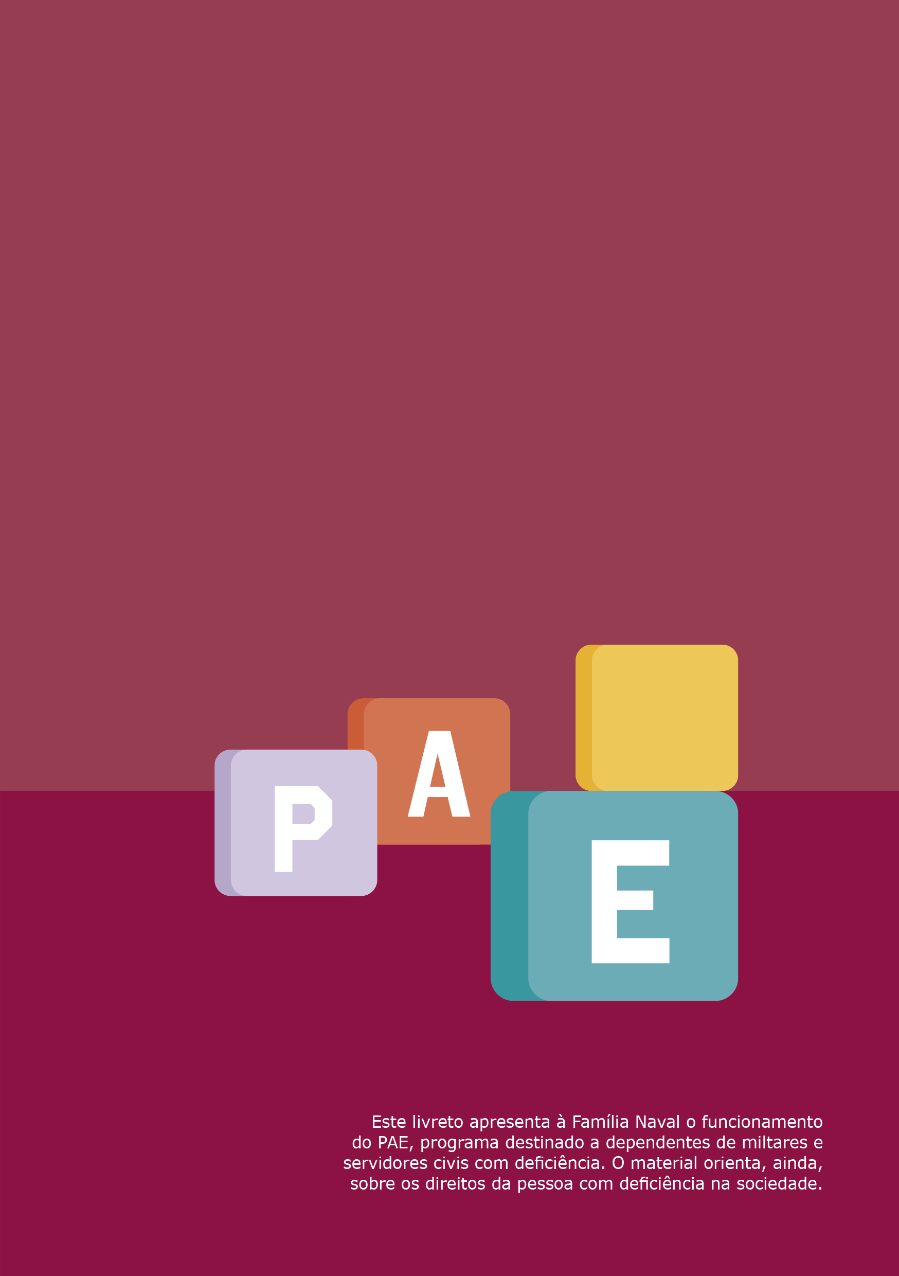 Cartilha PROGRAMA DE ATENDIMENTO ESPECIAL_pag3