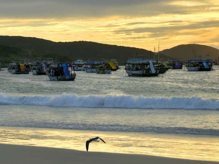 barcos
