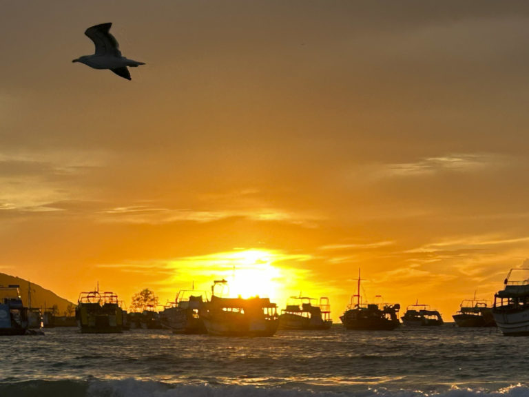 nascer do sol 2